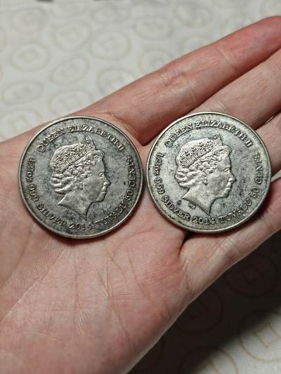 抚柳草堂-第二期章牌钱币 奖章勋章限时免佣 满百包邮 放漏专场 - 金属纪念两枚 材质未知直径40mm