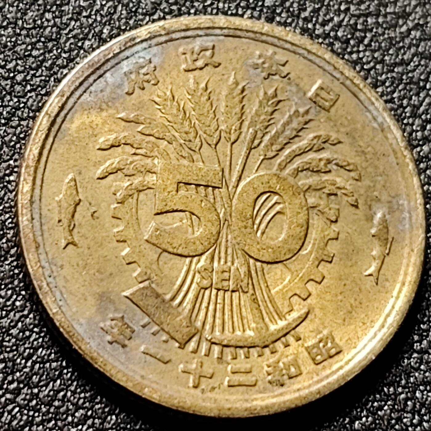 泉币菌-第150场-精品福利场 。