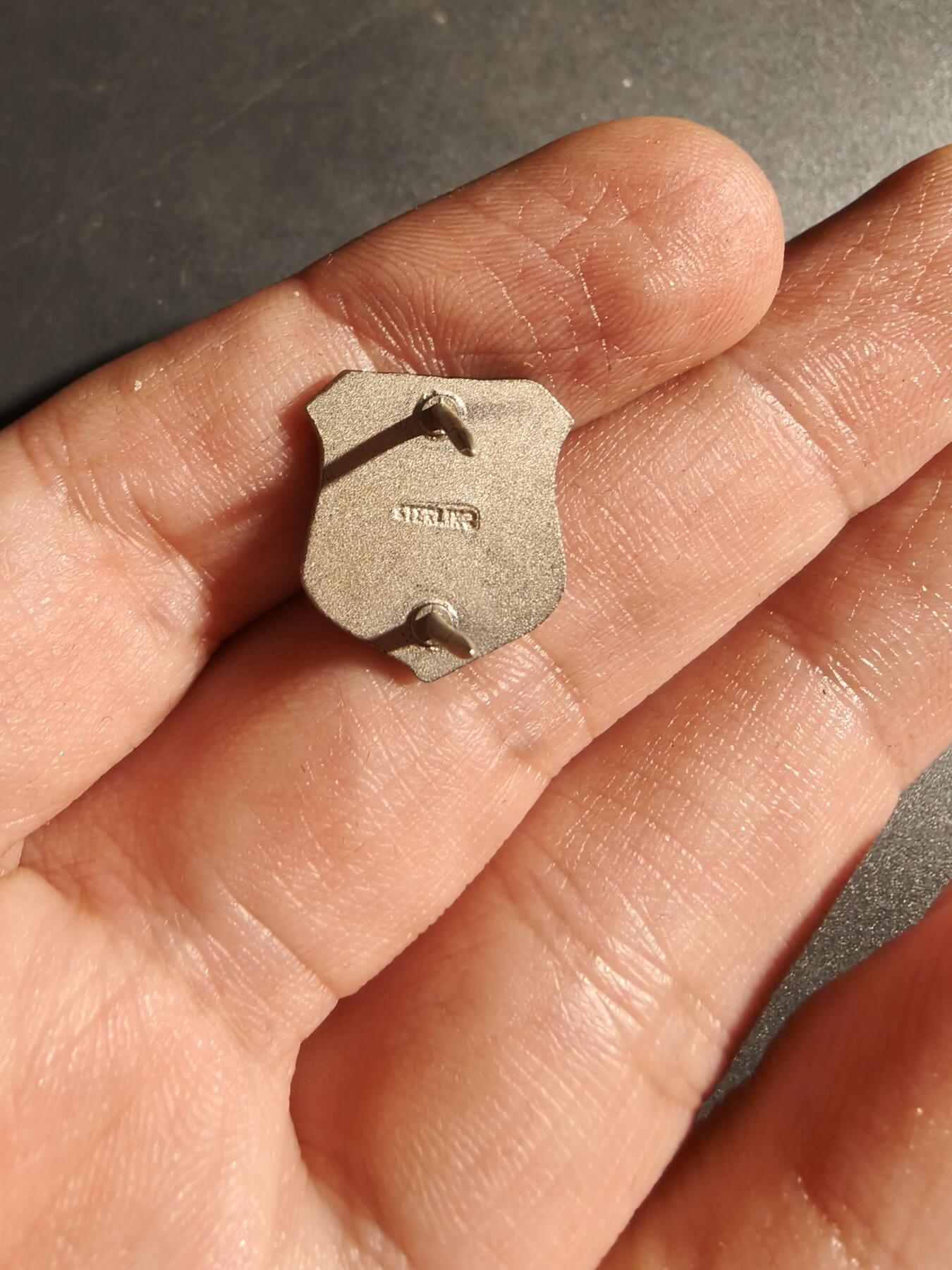 老王徽章第170期