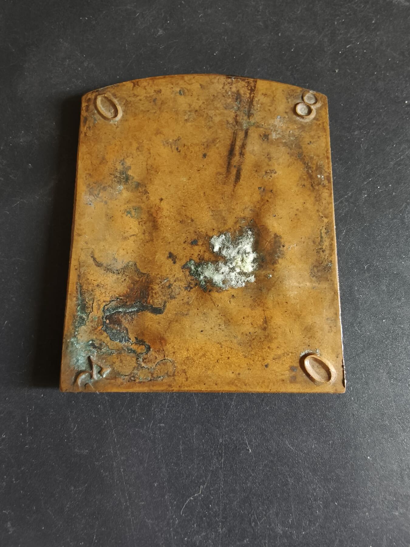 老王徽章第170期