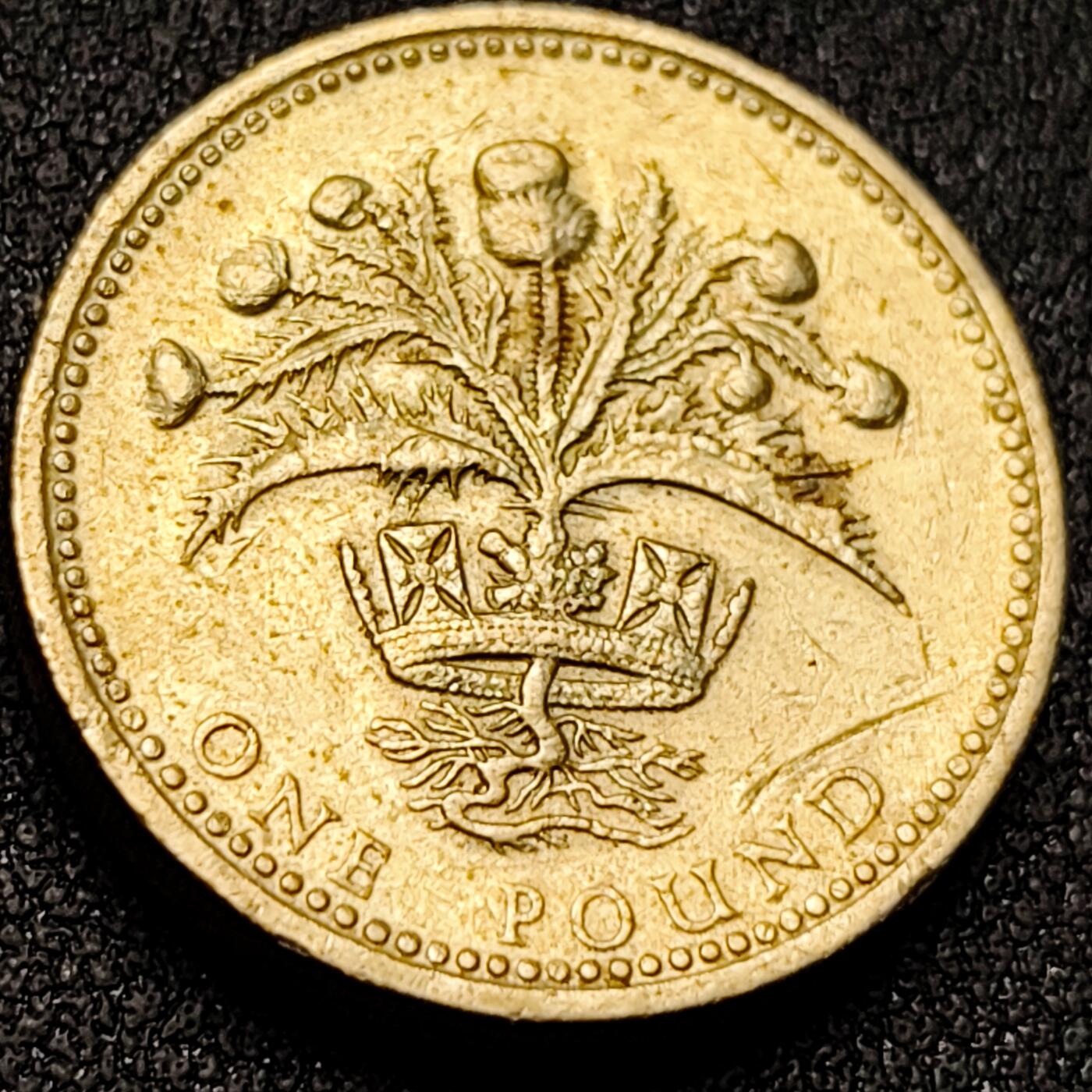 泉币菌-第151场-精品福利场 。