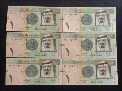 【游宝包邮场】蛇年第100期 五福临门+六六大顺 - 沙特阿拉伯🇸🇦 UNC/UNC-