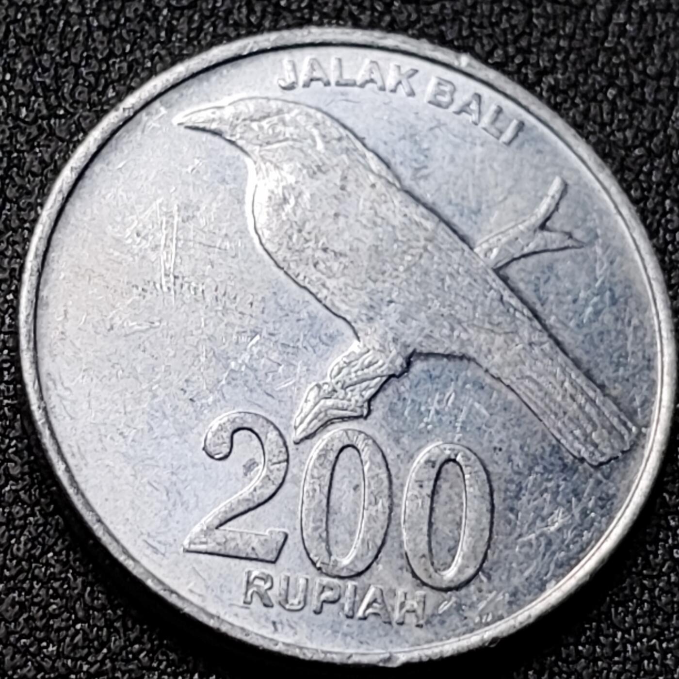 泉币菌-第151场-精品福利场 。