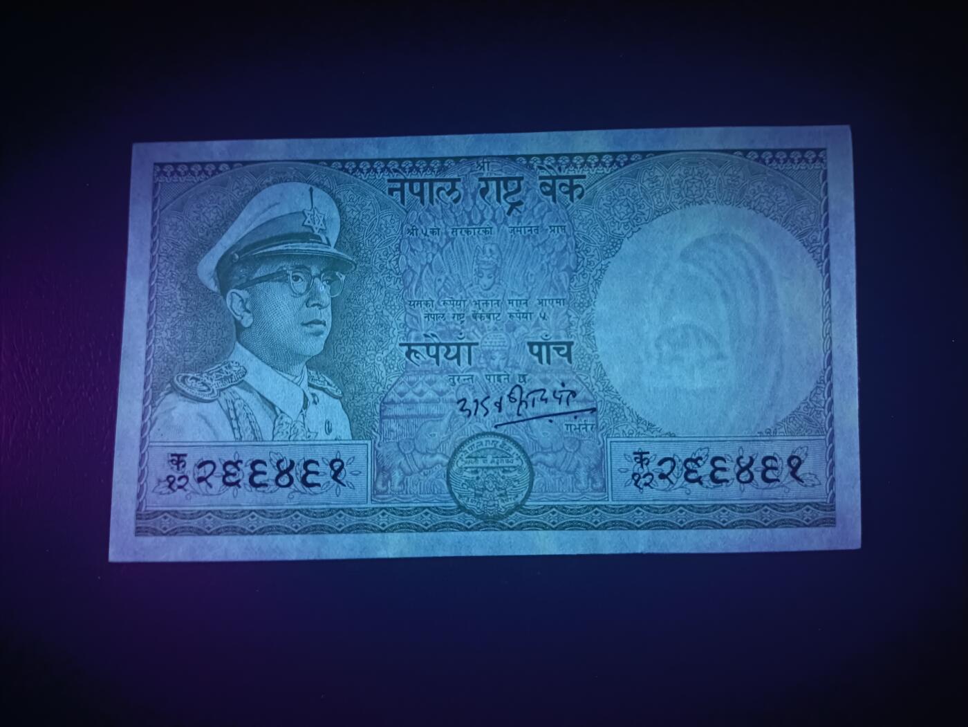 2025十二月第四期，总209期