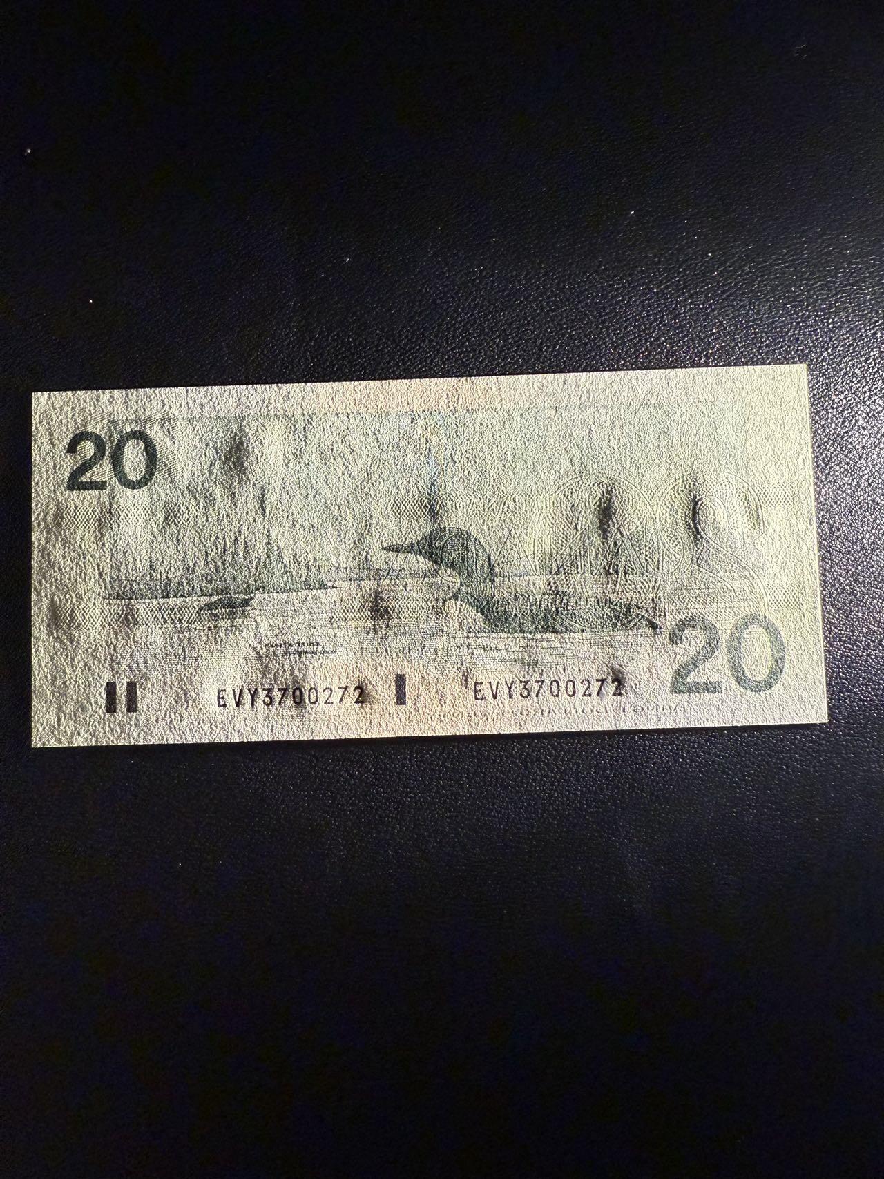 第14期 库存低价起拍 加拿大鸟版20 全新unc 尾272