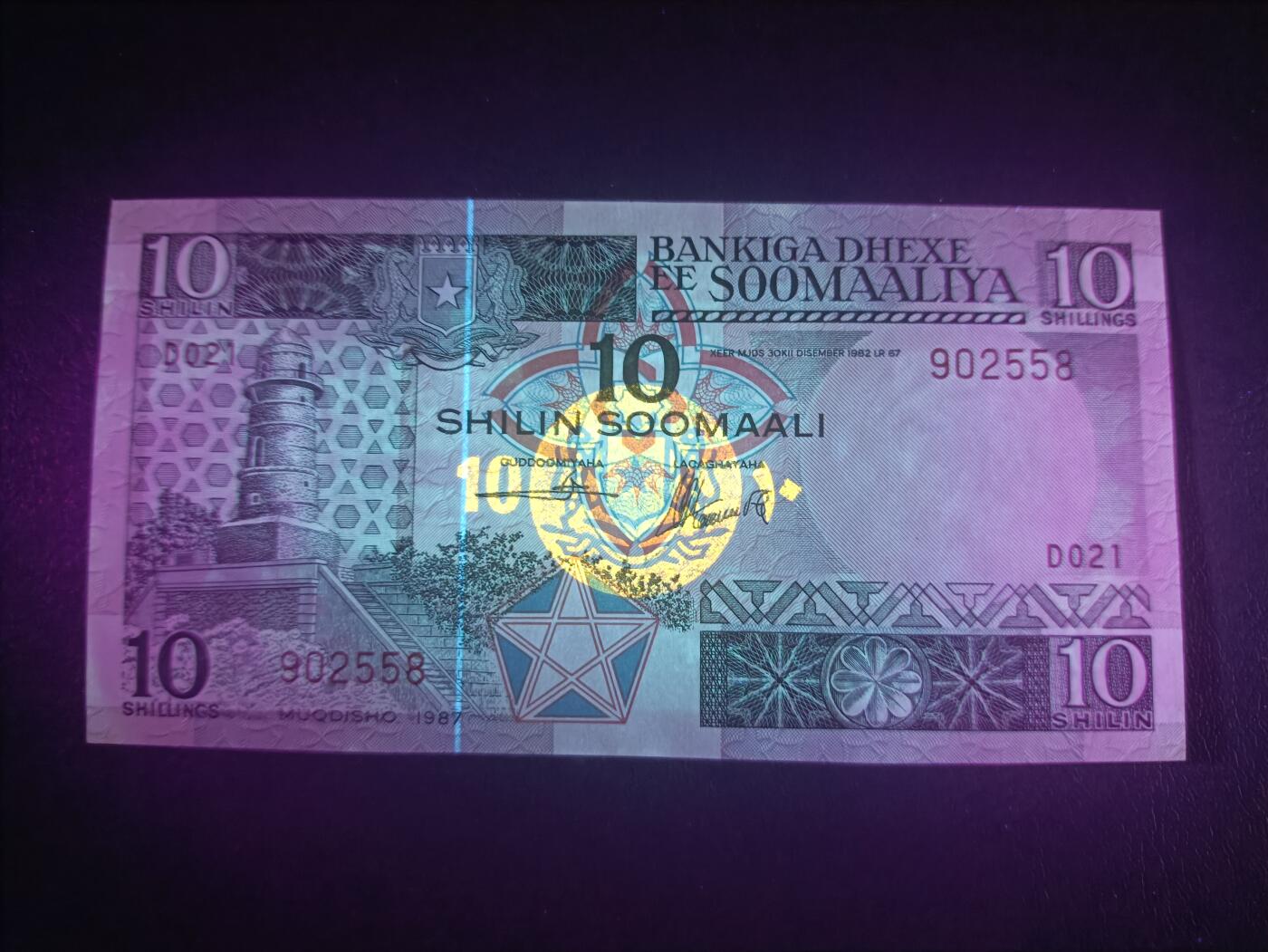 2025十二月第四期，总209期