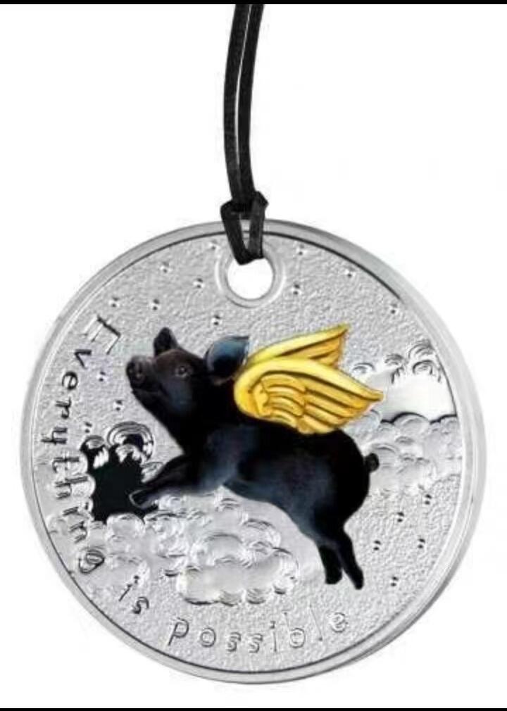 第185期拍卖 【励志银币】喀麦隆2019年，“Everything is possible”一切皆有可能-猪都能飞上天!  挂孔项链吊坠、彩色精制银币. 盒证全. 原装袋式盒. 火热励志精制银币. 国外售价120美元