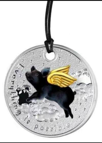 第185期拍卖 - 【励志银币】喀麦隆2019年，“Everything is possible”一切皆有可能-猪都能飞上天!  挂孔项链吊坠、彩色精制银币. 盒证全. 原装袋式盒. 火热励志精制银币. 国外售价120美元