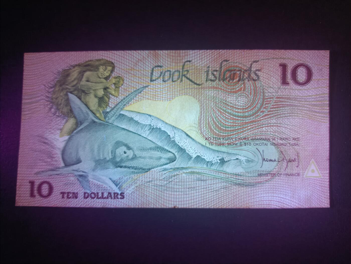 2025十二月第四期，总209期