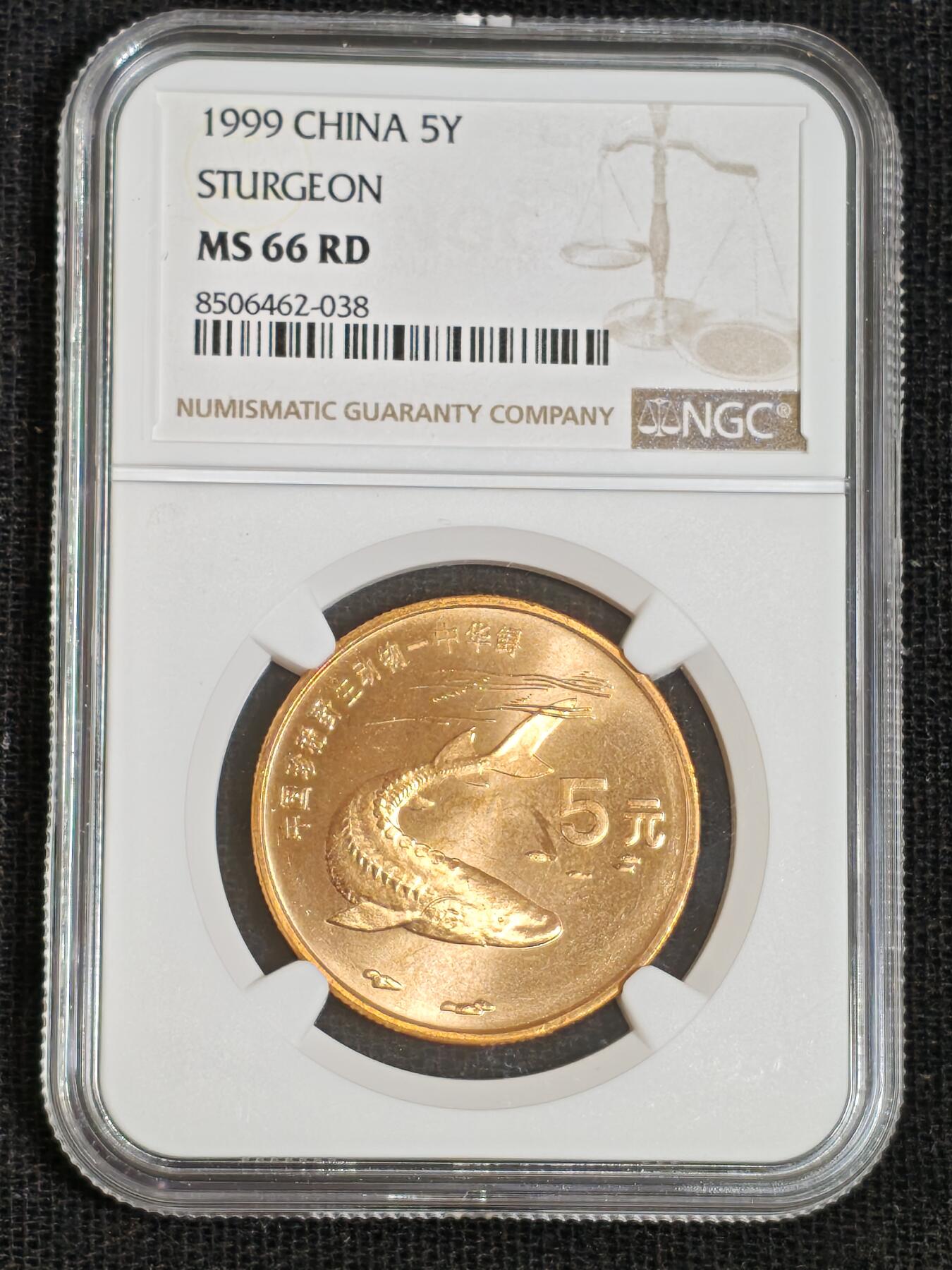 刘世昌艺术品销售中心～虎踞龙蟠*金杨在线联拍群第512期 1999年流通纪念币“中华鲟”（NGC  MS66RD  串号：8506462-038）1枚。
