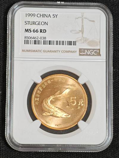 刘世昌艺术品销售中心～虎踞龙蟠*金杨在线联拍群第512期 - 1999年流通纪念币“中华鲟”（NGC  MS66RD  串号：8506462-038）1枚。
