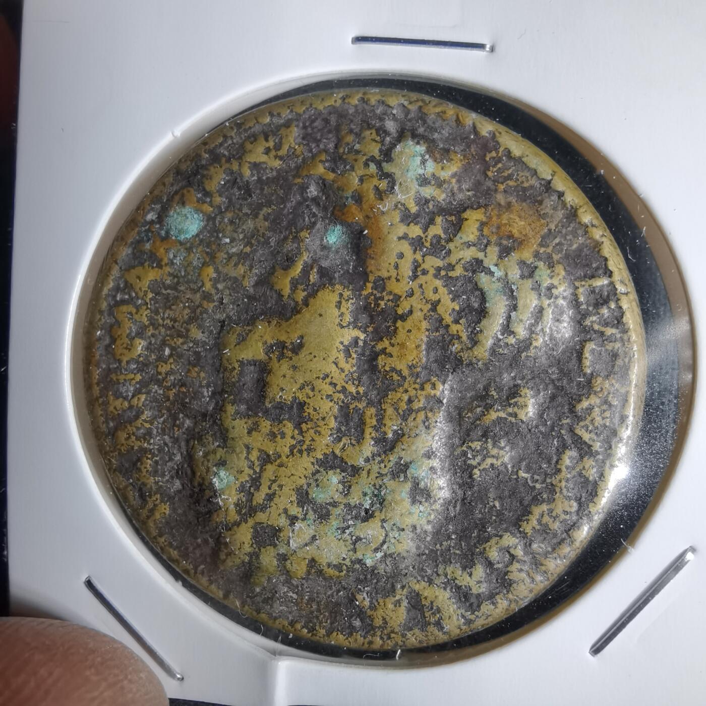 沼泽如烟--第938场 不知道啥自辨