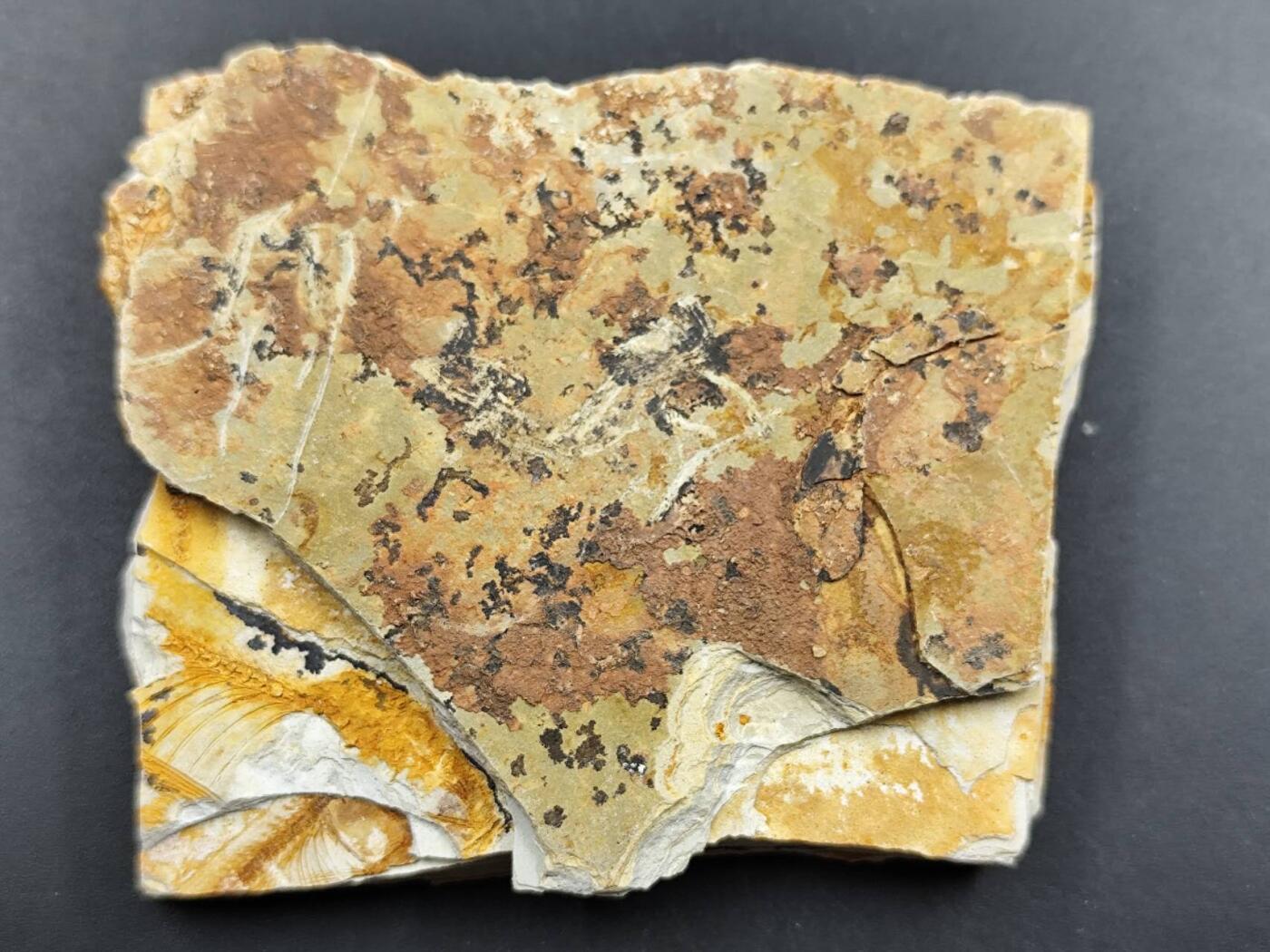 12月16日徽章钱币专场