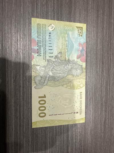 纸币 - 印度尼西亚通天号