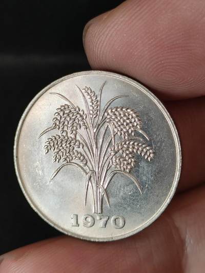 猩哥外币小铺➨【第211场】 - 越南