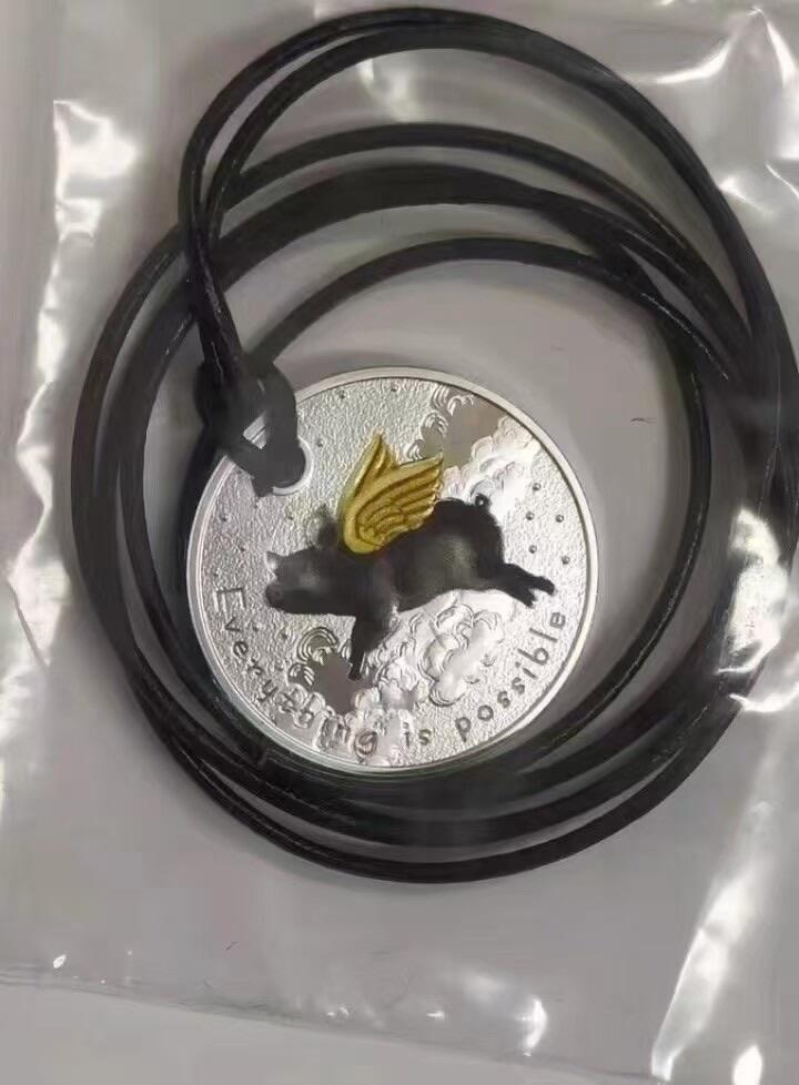 第185期拍卖 【励志银币】喀麦隆2019年，“Everything is possible”一切皆有可能-猪都能飞上天!  挂孔项链吊坠、彩色精制银币. 盒证全. 原装袋式盒. 火热励志精制银币. 国外售价120美元