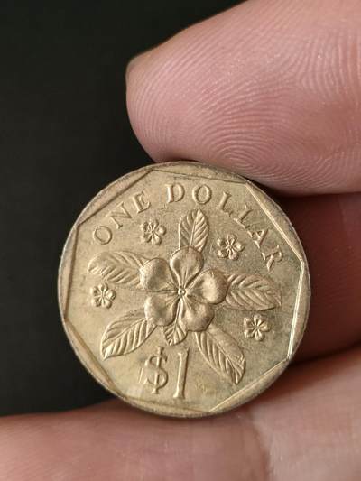 猩哥外币小铺➨【第211场】 - 新加坡