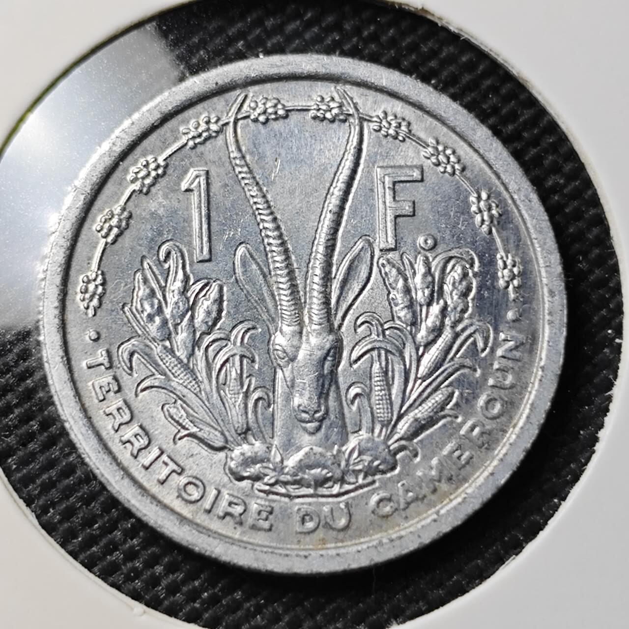 KK钱币收藏小铺 第382期  2月预留时间 周末发货