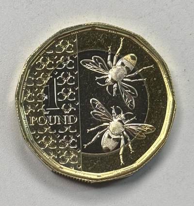 S&S Numismatic世界钱币-拍卖 第117期  - 英国2023年 小蜜蜂 1英镑双色币 稀少皇冠版