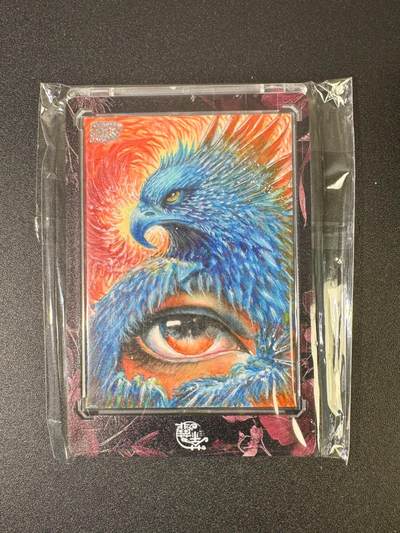 NO.18 好又多金牌大场，新店点关注不迷路！每周一站式配齐，方便凑单！（周6晚8点截拍，卖家送拍0抽成！） - 【1/1手绘卡】乐联文创  画师江河  眼 【人们说的天空蓝，是我记忆中那团白云背后的蓝天】