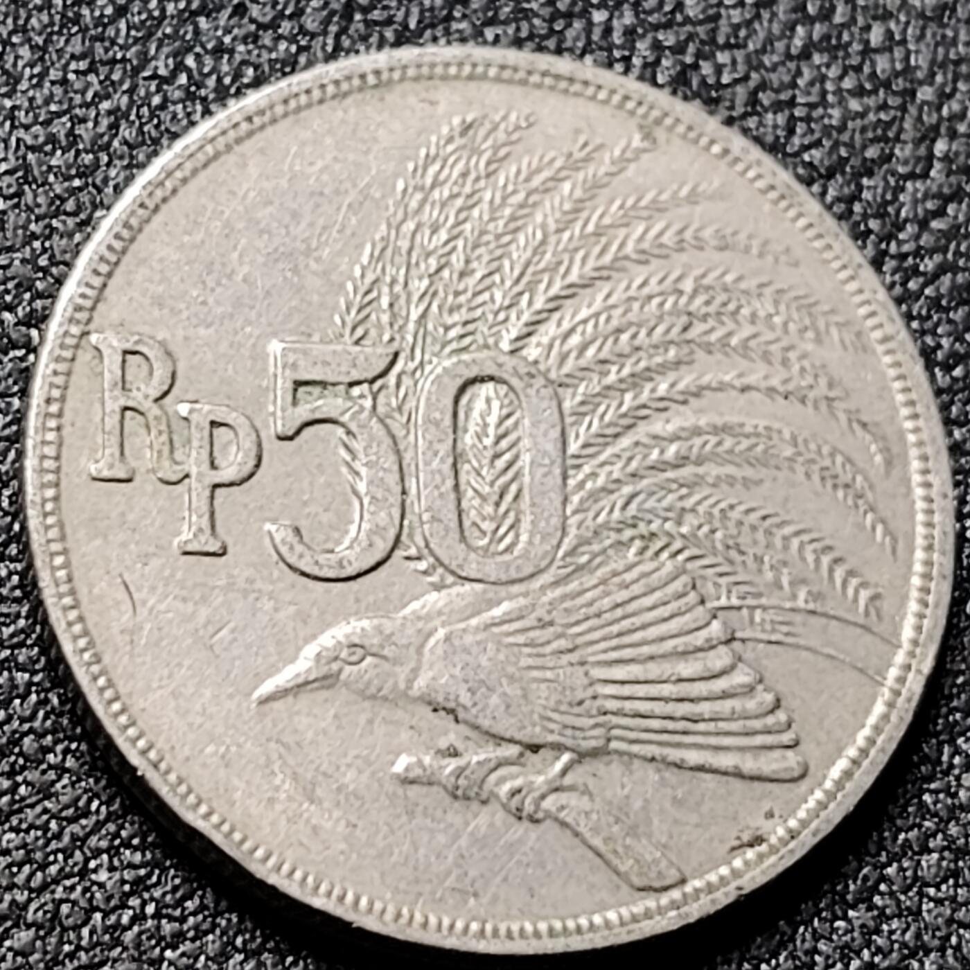 泉币菌-第151场-精品福利场 。