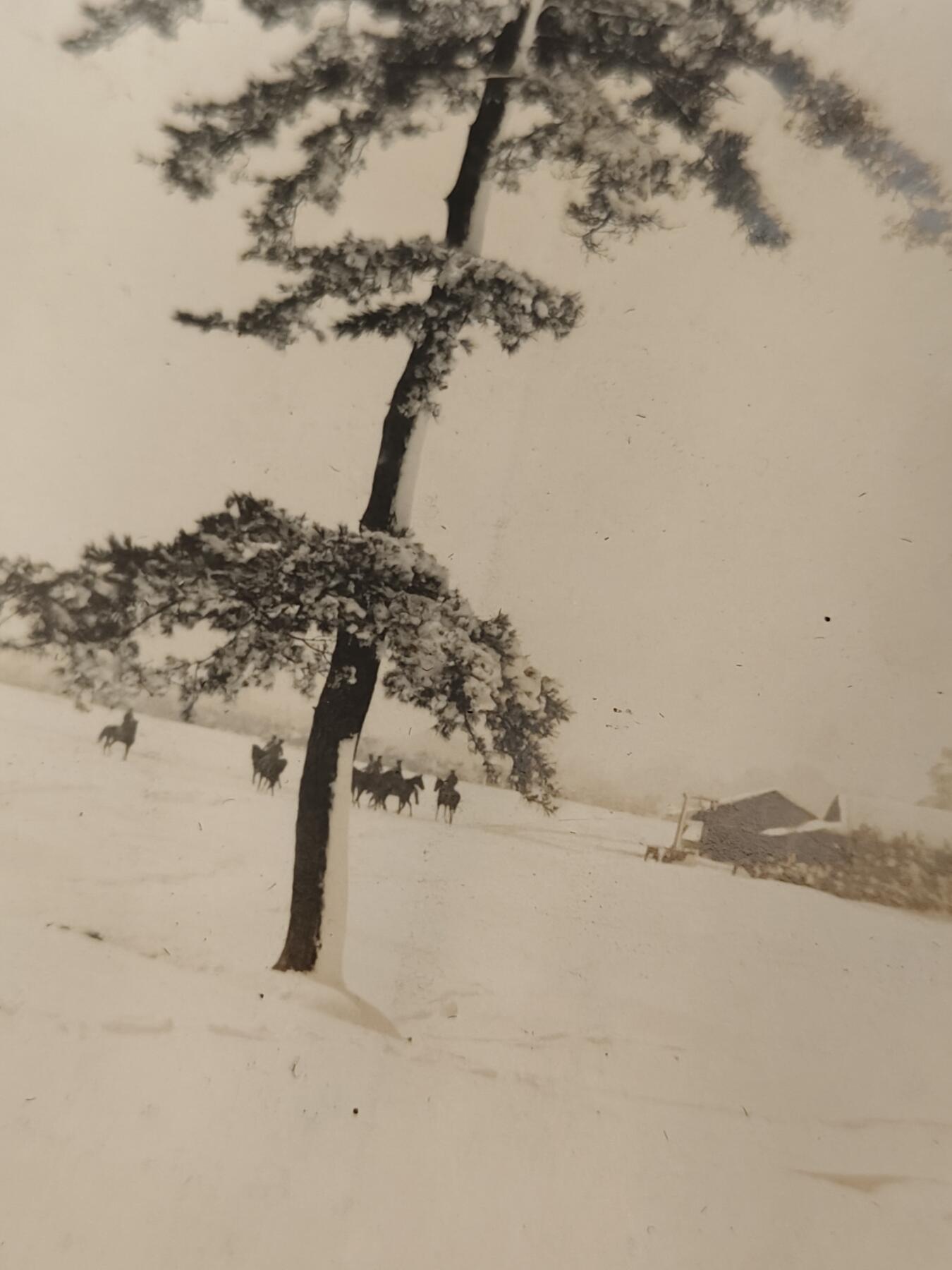 0元起拍勋章 第320期 咸鱼国勋章拍卖专场 12月21日（周日）下午6：00开始 大正时期骑兵13联队驻地照片4张