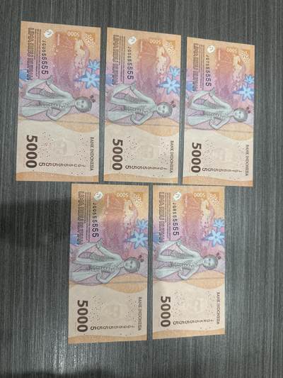 纸币 - 印度尼西亚通天号