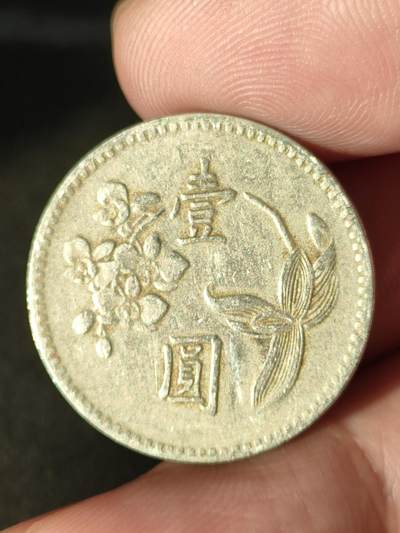 猩哥外币小铺➨【第211场】 - 壹圆