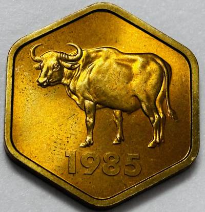 文馨钱币收藏第 286 场，圣诞节专场【 长期接收代拍品低至 0 佣金】 - 全新 1985 年日本牛年纪念章