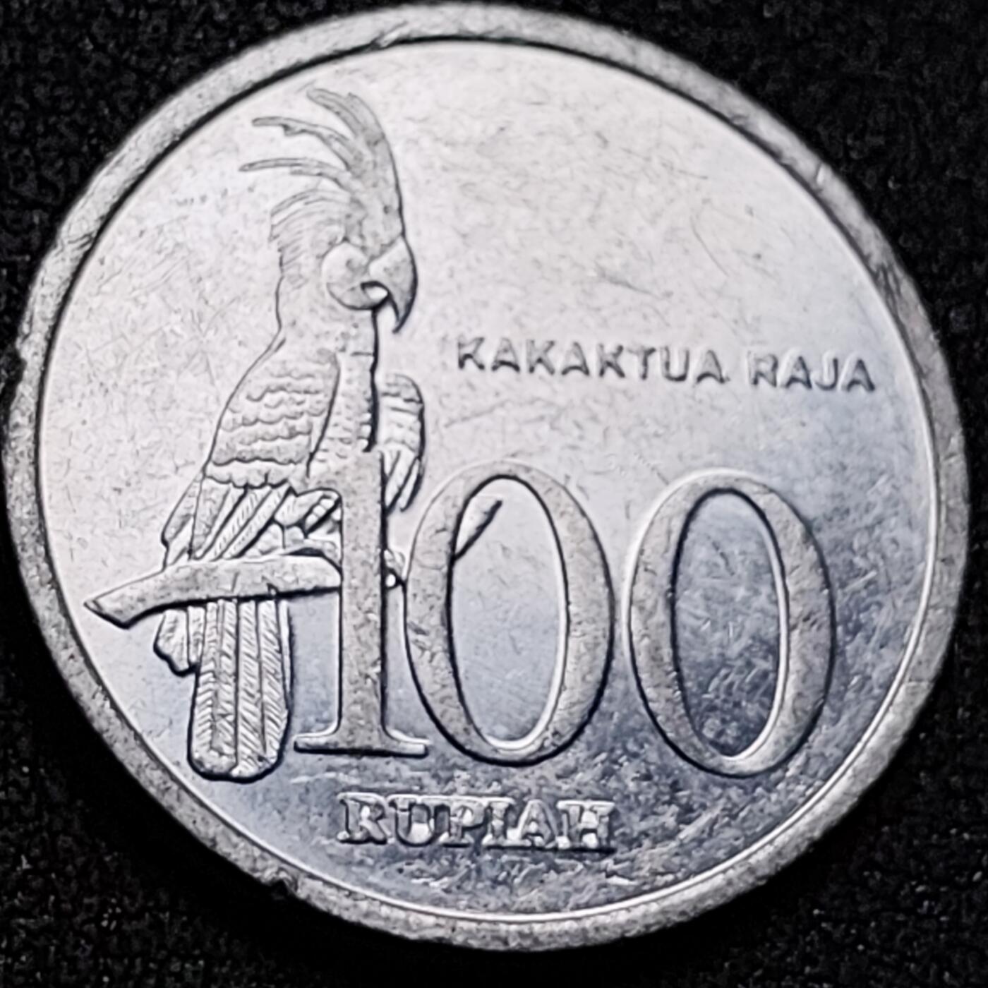 泉币菌-第151场-精品福利场 。