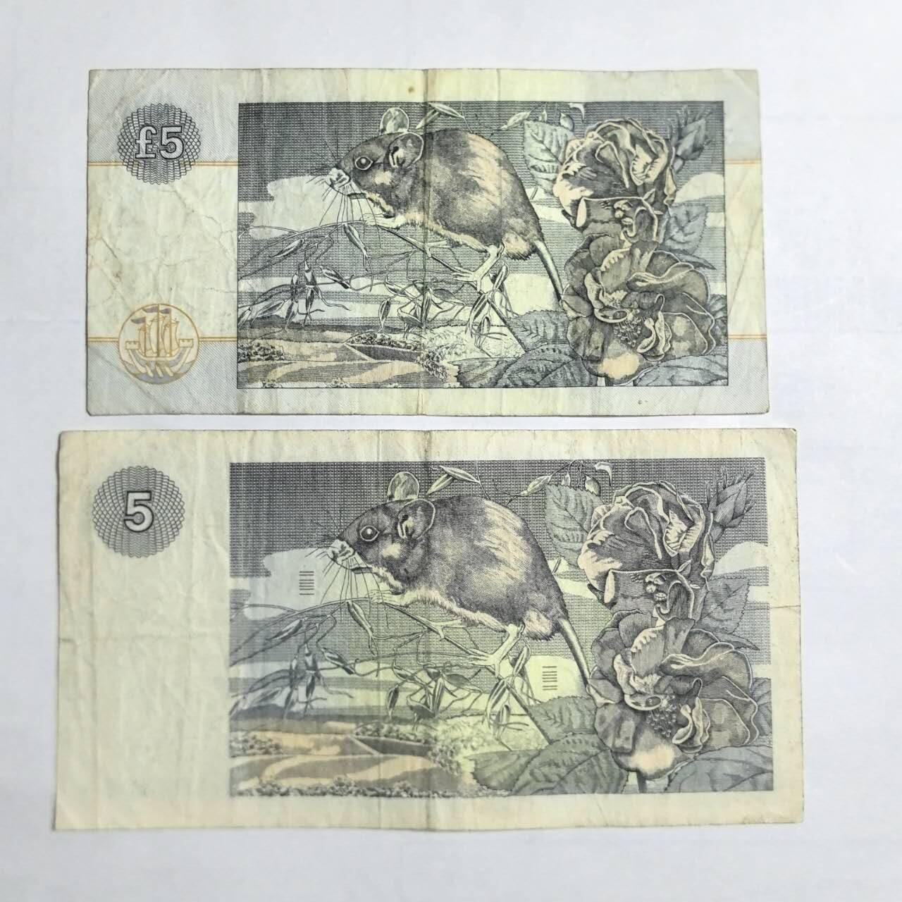 各国外币第103期 品种好部分全新