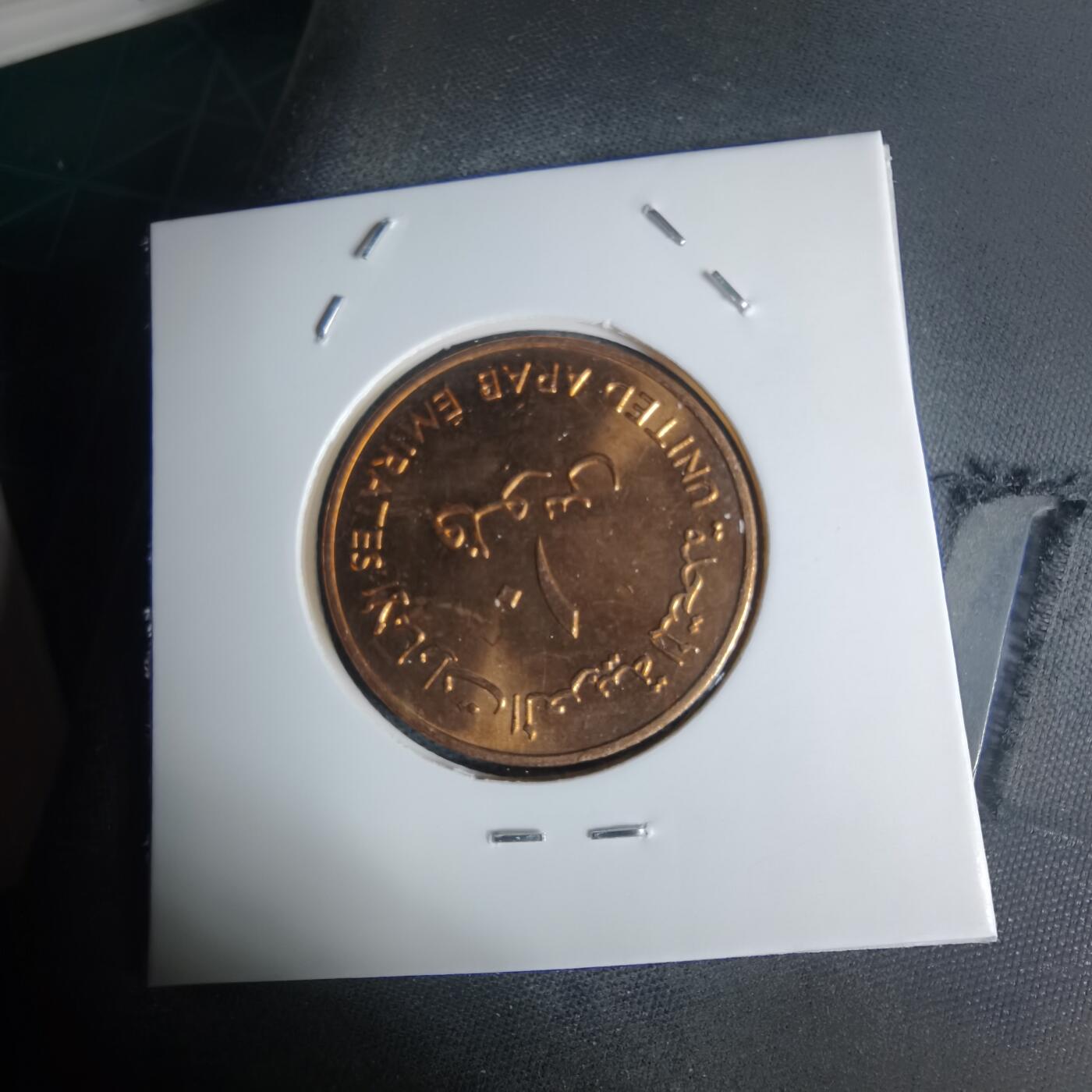 沼泽如烟--第941场 阿联酋