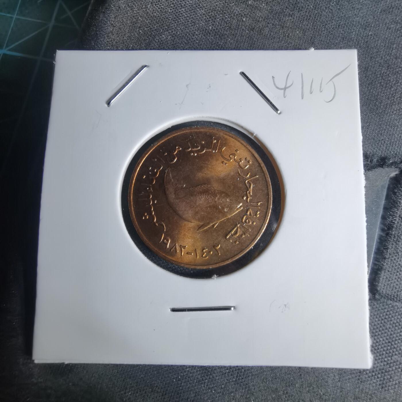 沼泽如烟--第941场 阿联酋