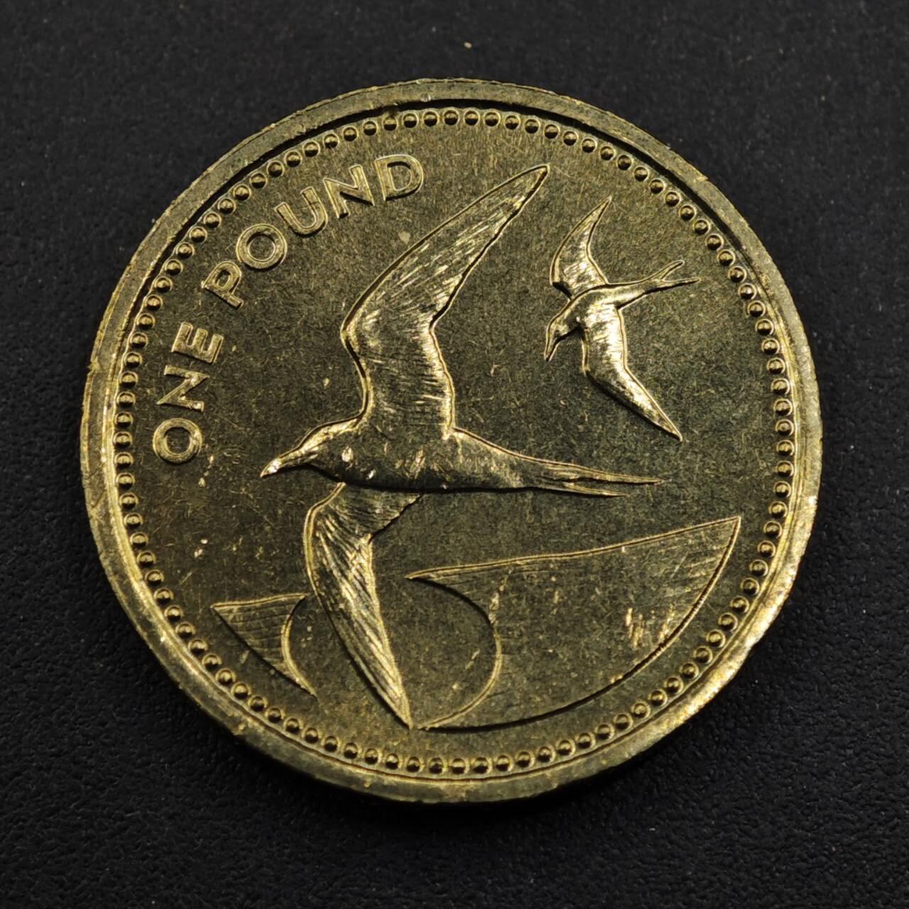 【淘币小摊】实时拍第八百三十三拍   散币场   满百包邮可预留二周 每周一统一发货   圣赫勒拿1984年燕鸥1镑铜币