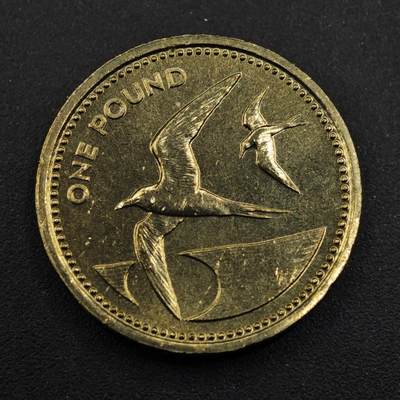 【淘币小摊】实时拍第八百三十三拍   散币场   满百包邮可预留二周 每周一统一发货   - 圣赫勒拿1984年燕鸥1镑铜币