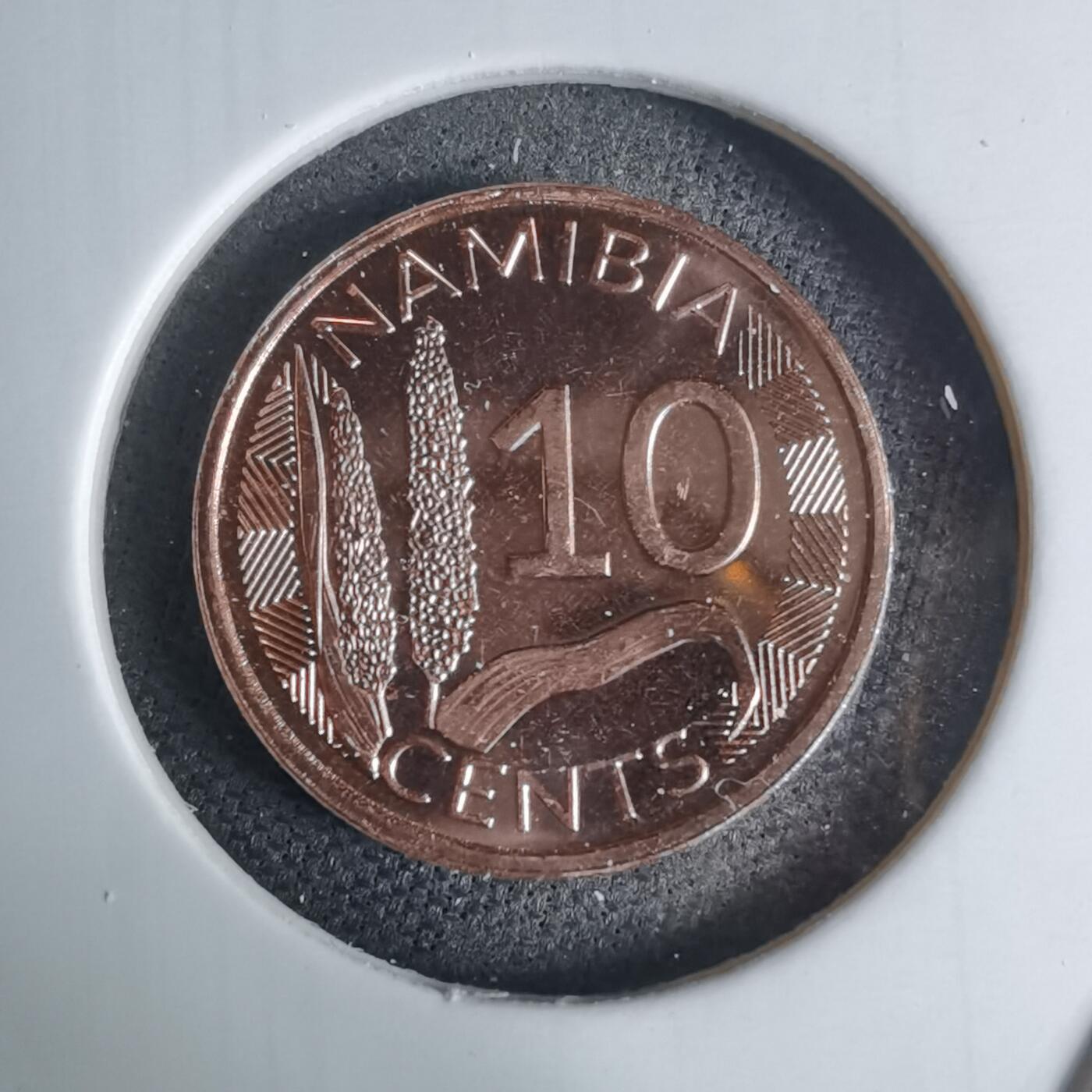 沼泽如烟--第941场