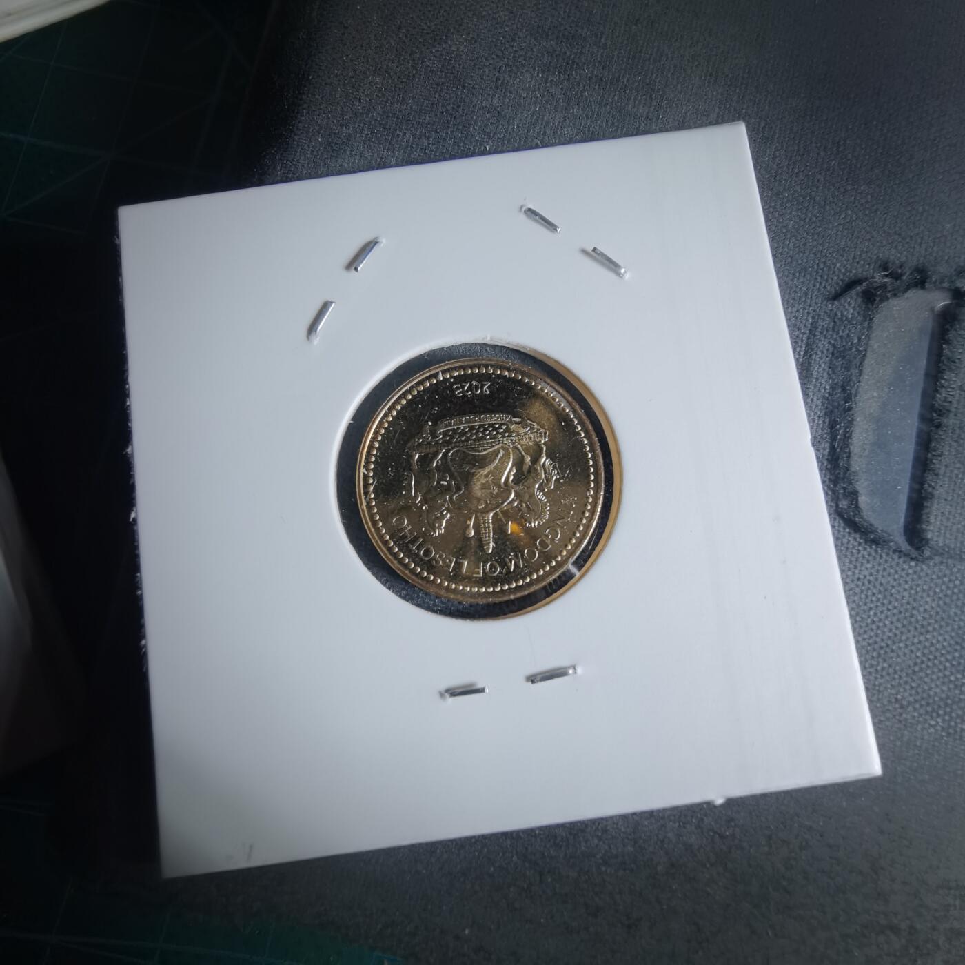 沼泽如烟--第941场