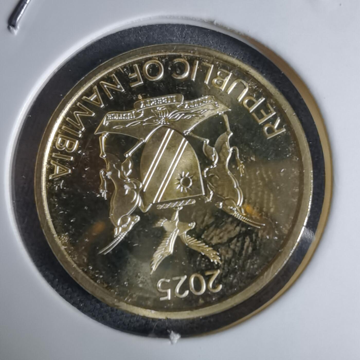 沼泽如烟--第941场