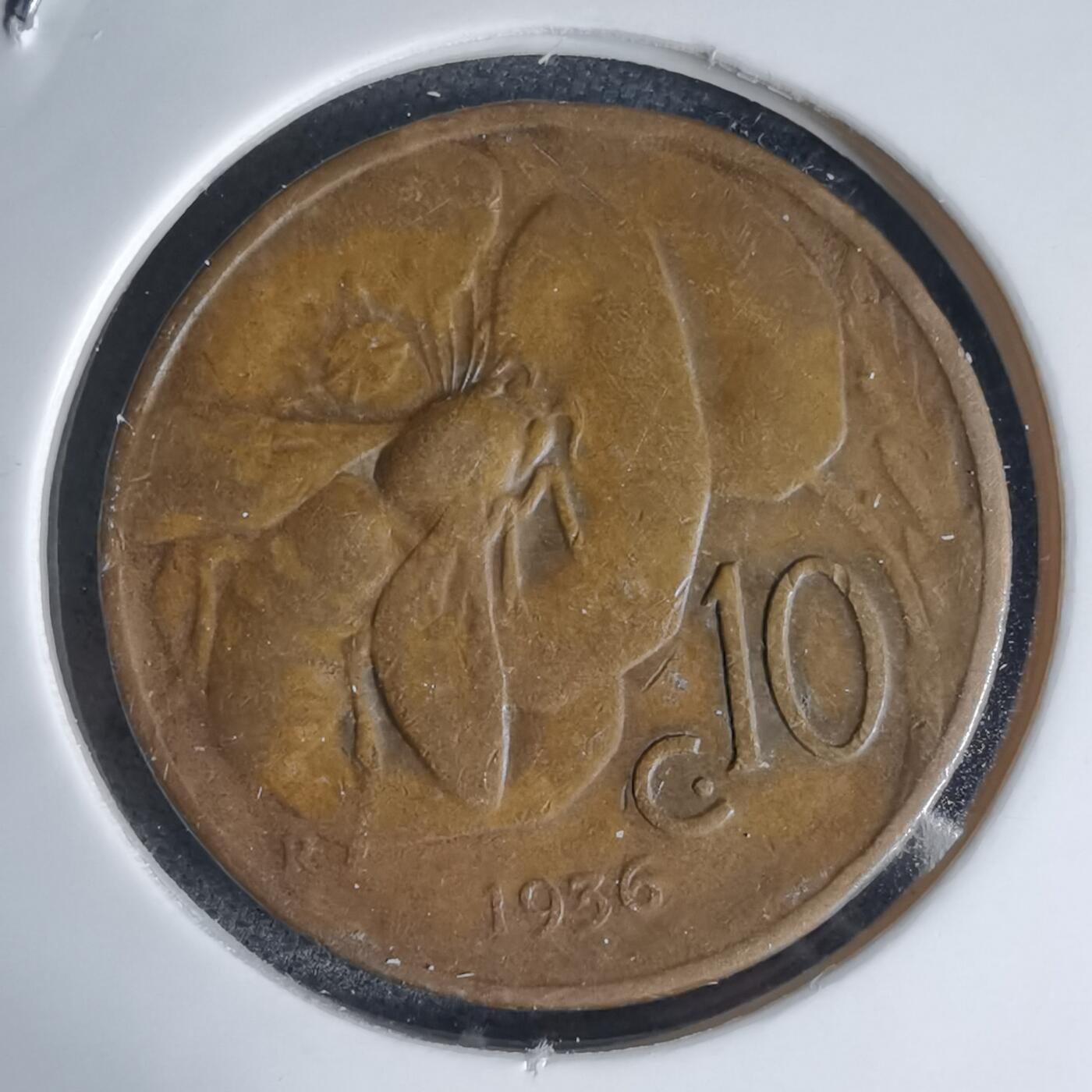 沼泽如烟--第941场 意大利1936年十分