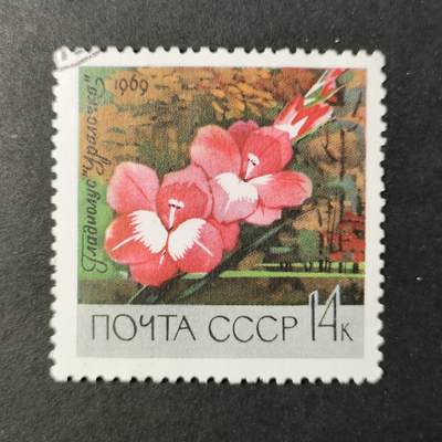 嘉禾收藏    【第412期】            无佣金、可寄存、满30元包邮 - 苏联