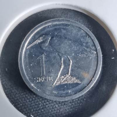 沼泽如烟--第941场 - 萨摩亚2020年一分小鸟