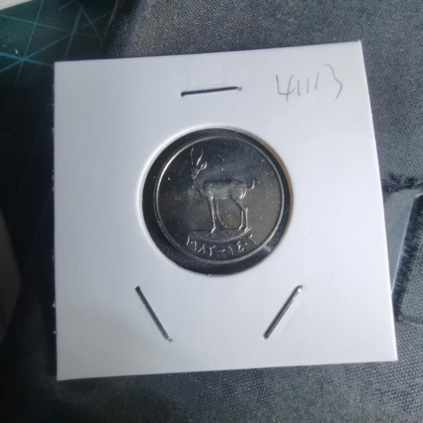 沼泽如烟--第941场 阿联酋