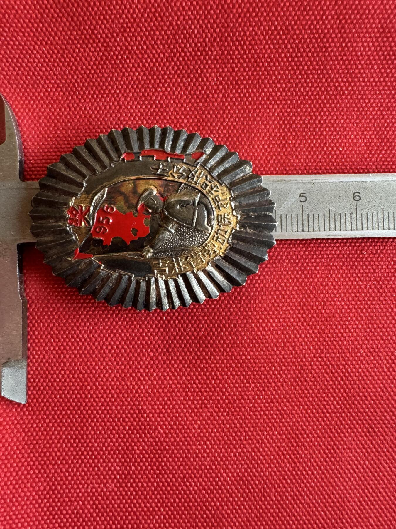 五哥徽章群   20号周六晚上八点4群联拍 银章