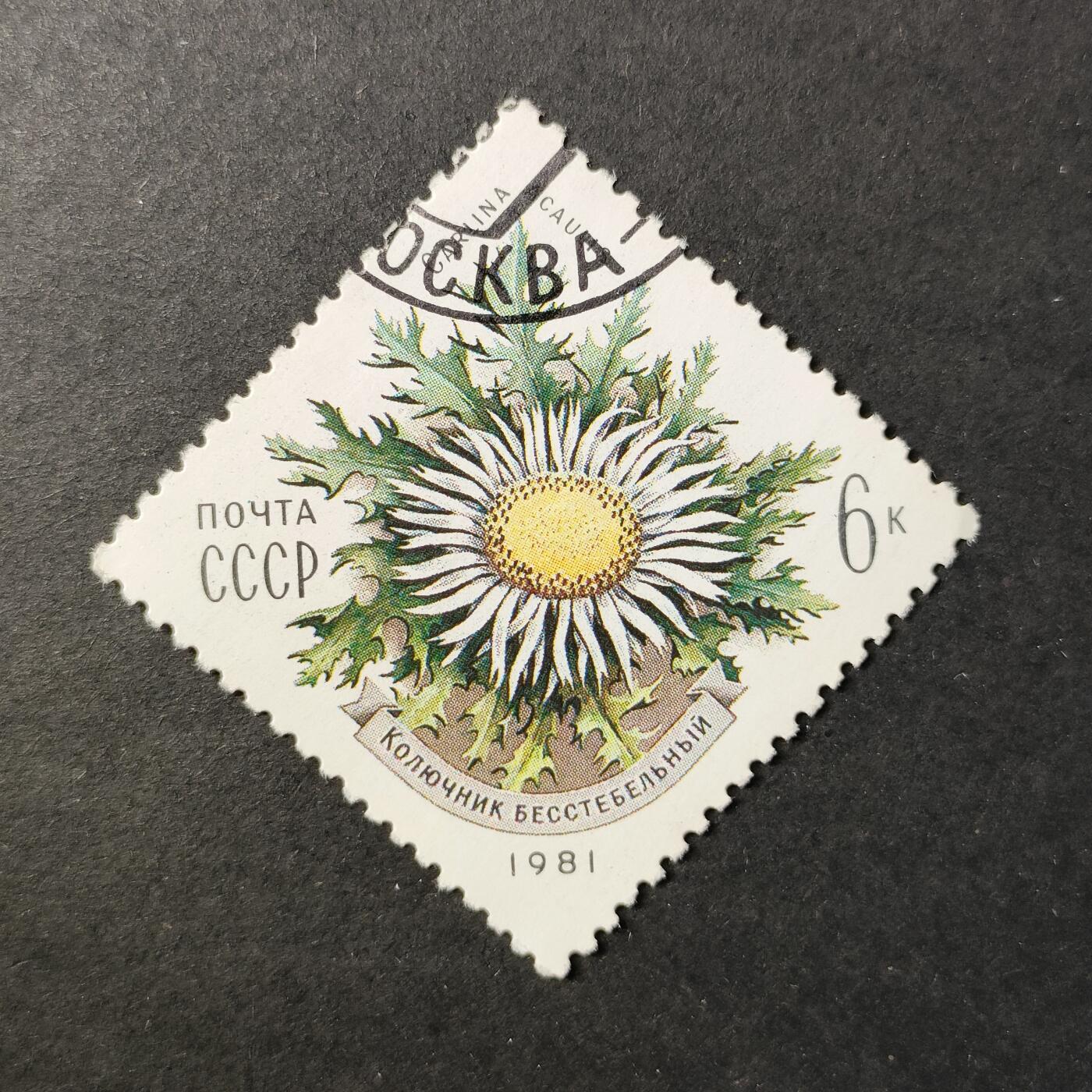 嘉禾收藏    【第412期】            无佣金、可寄存、满30元包邮 邮票一枚