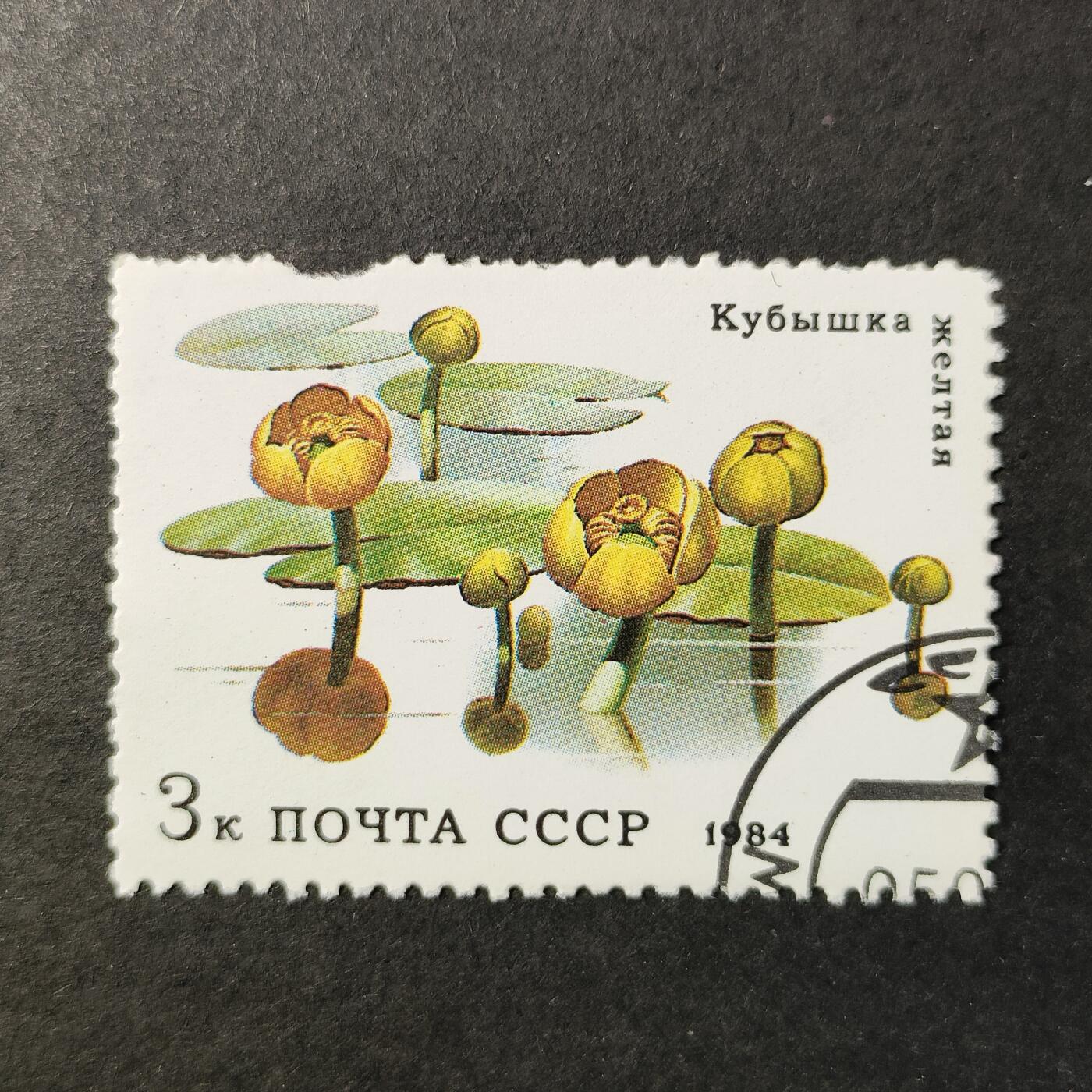 嘉禾收藏    【第412期】            无佣金、可寄存、满30元包邮