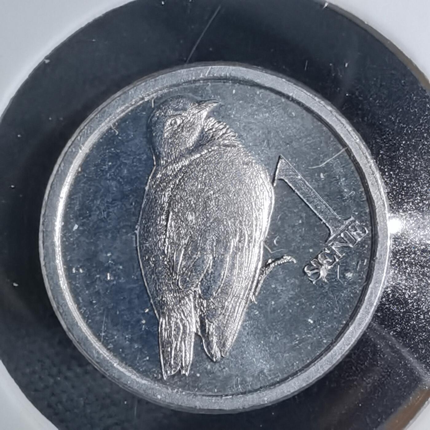 沼泽如烟--第941场 萨摩亚2020年一分小鸟