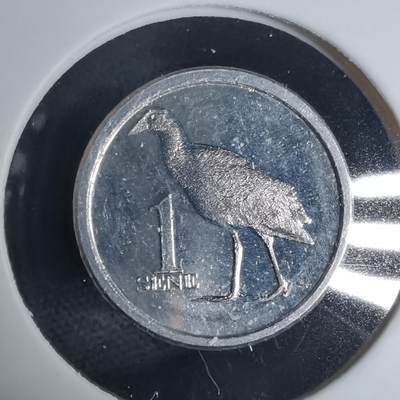 沼泽如烟--第941场 - 萨摩亚2020年一分小鸟