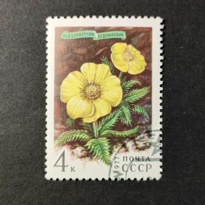 嘉禾收藏    【第412期】            无佣金、可寄存、满30元包邮 - 苏联