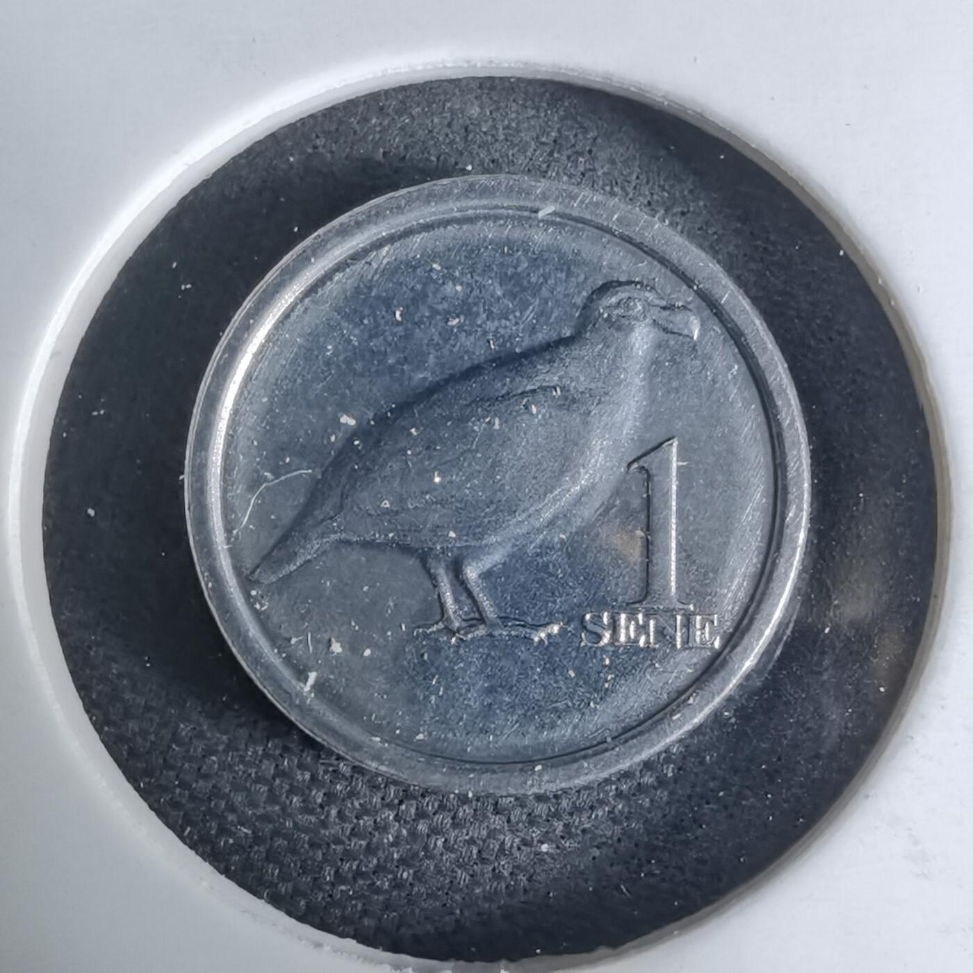 沼泽如烟--第941场 萨摩亚2020年一分小鸟