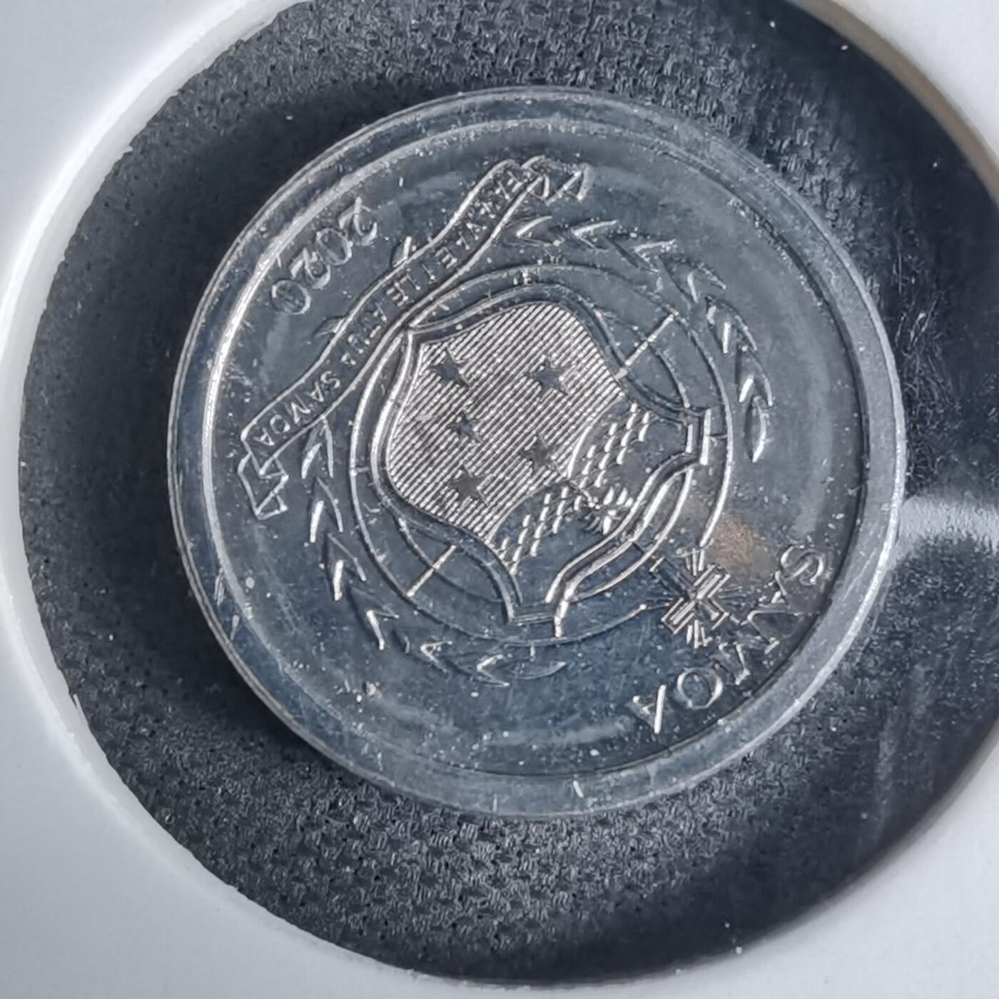 沼泽如烟--第941场 萨摩亚2020年一分小鸟